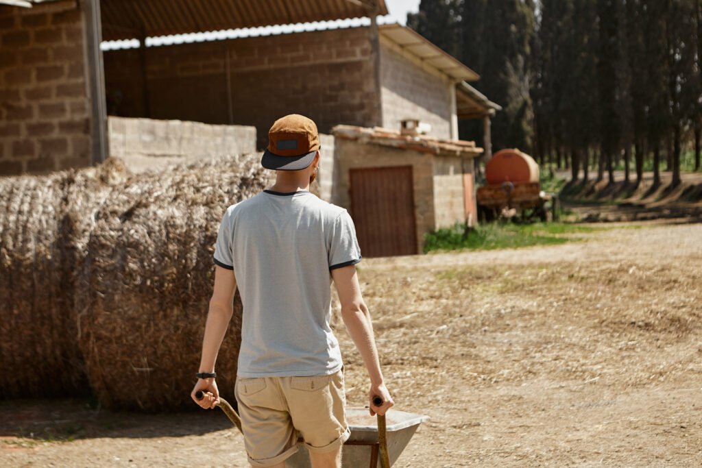 Comment la loi française encadre-t-elle le travail des artisans dans les zones rurales ?