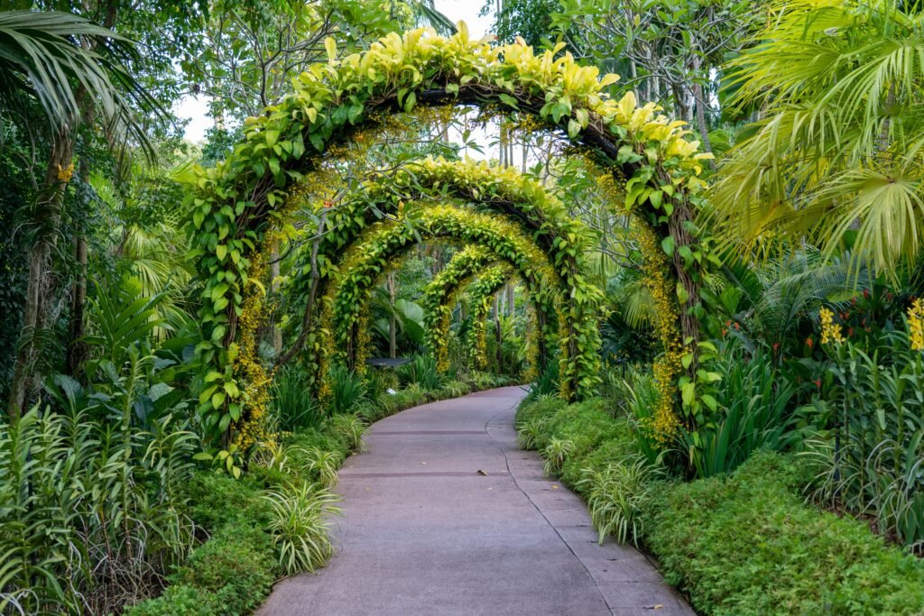 Préparer un jardin avant l’arrivée d’un jardinier pro